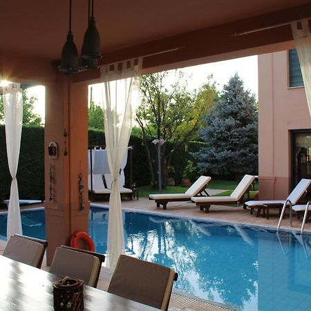 4-Seasons Pool Villa Near Meteora Trikala  Exterior photo