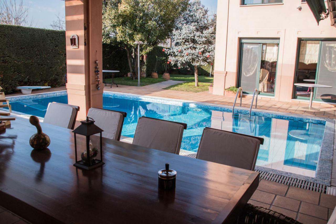 4-Seasons Pool Villa Near Meteora Trikala  Exterior photo